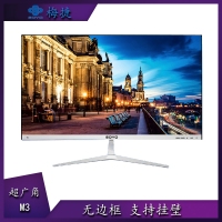 梅捷（SOYO）M3 21.5英寸白色 60Hz VGA 家用 办公 吃鸡游戏 高清平面显示器 云南电脑批发